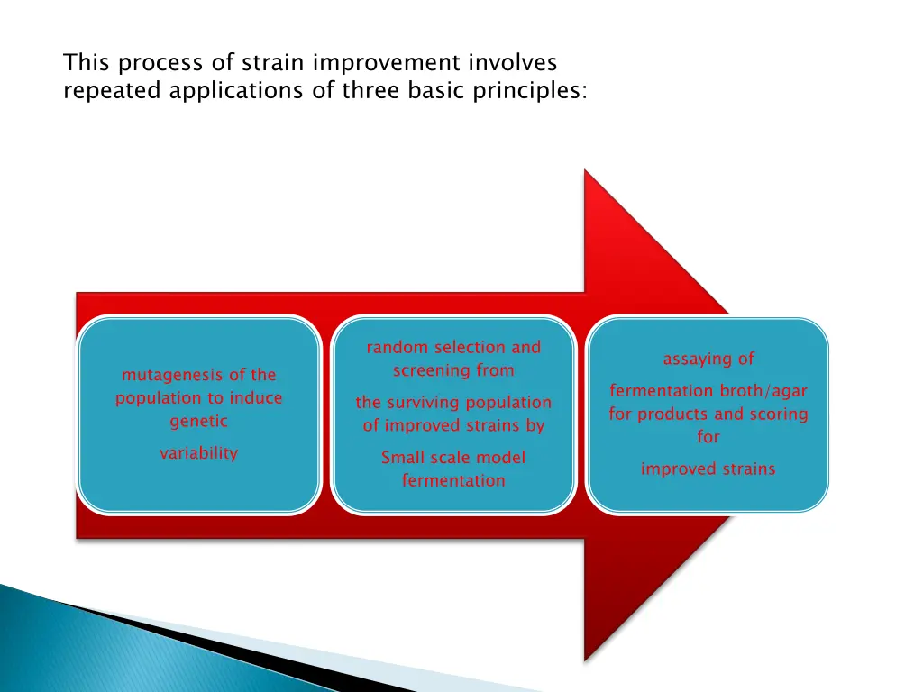 this process of strain improvement involves