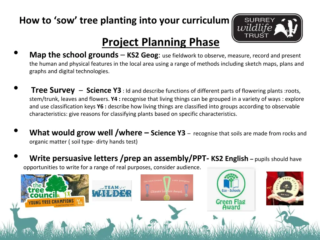 how to sow tree planting into your curriculum