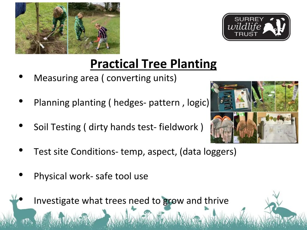 practical tree planting measuring area converting