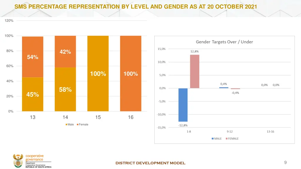 sms percentage representation by level and gender