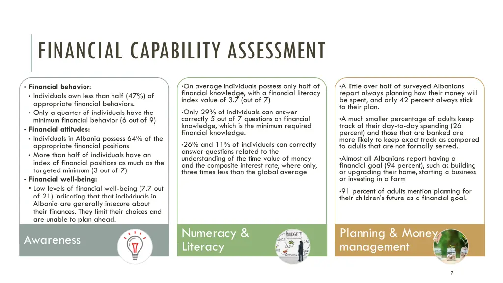 financial capability assessment