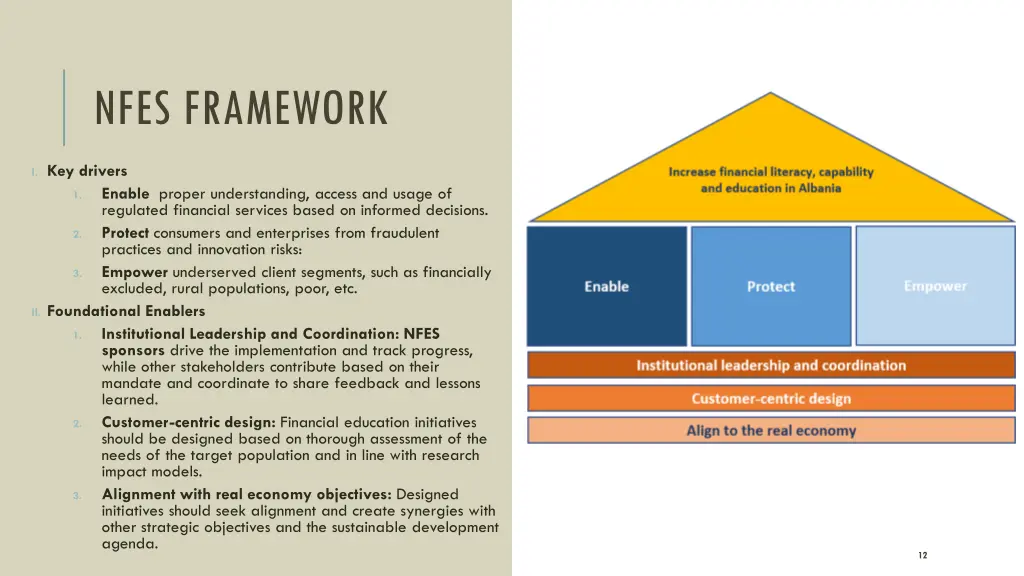 nfes framework 1