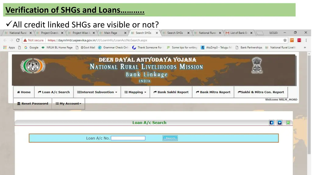 verification of shgs and loans 5