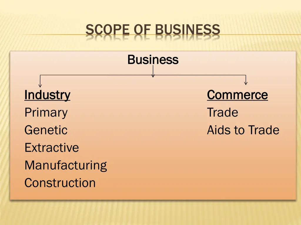 scope of business