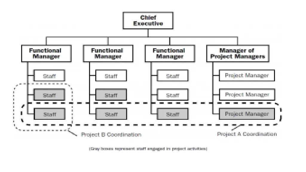 composite organizational structure