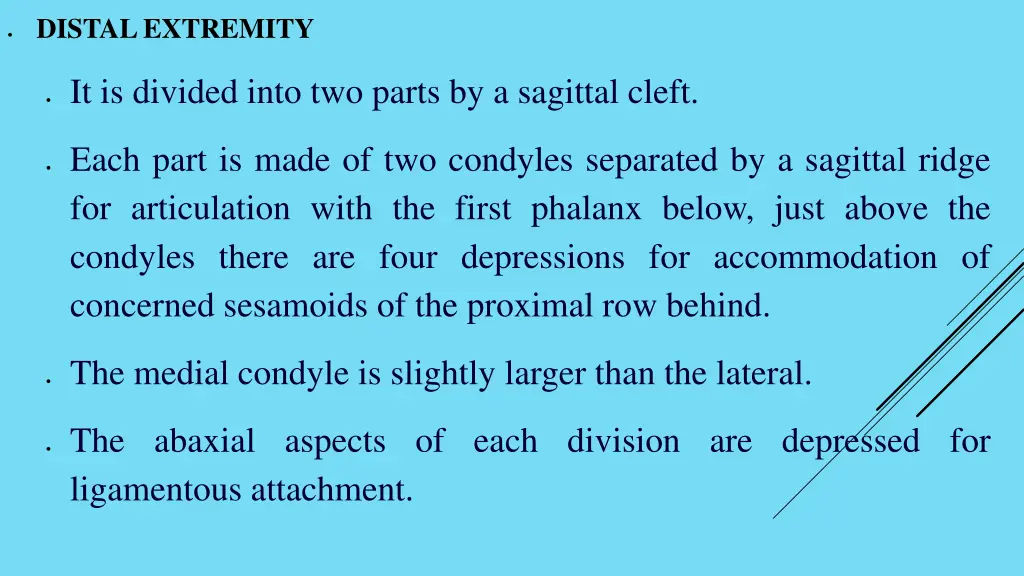 distal extremity