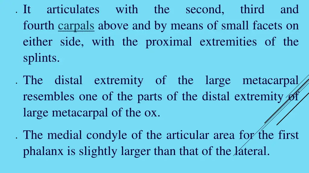 it fourth carpals above and by means of small