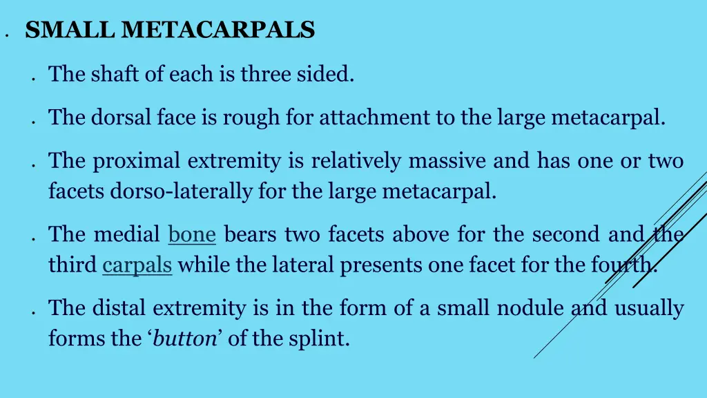 small metacarpals