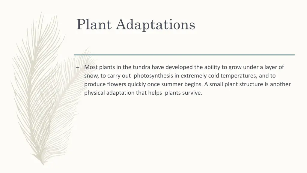 plant adaptations