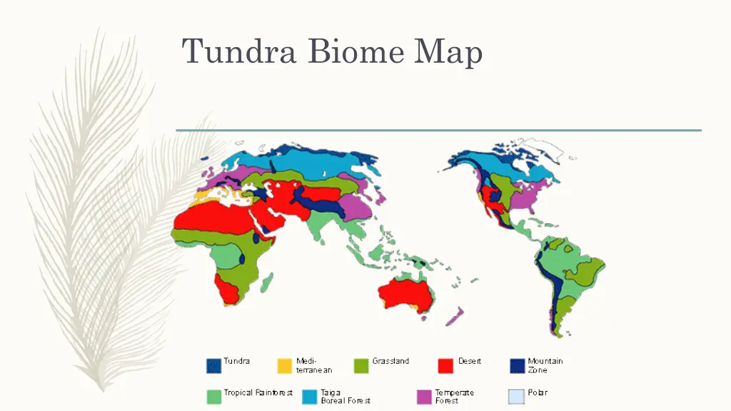 tundra biome map