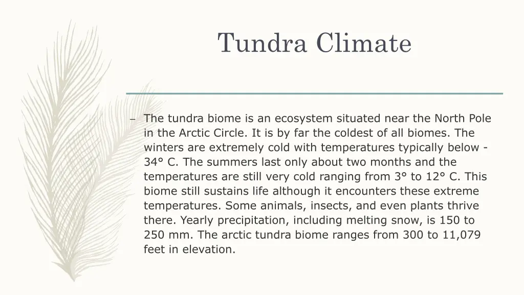 tundra climate