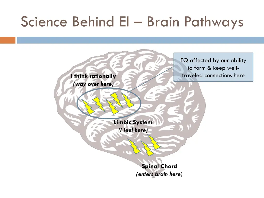 science behind ei brain pathways