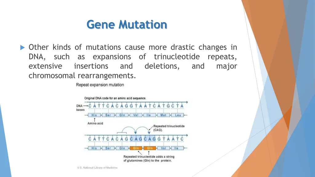 gene mutation 10