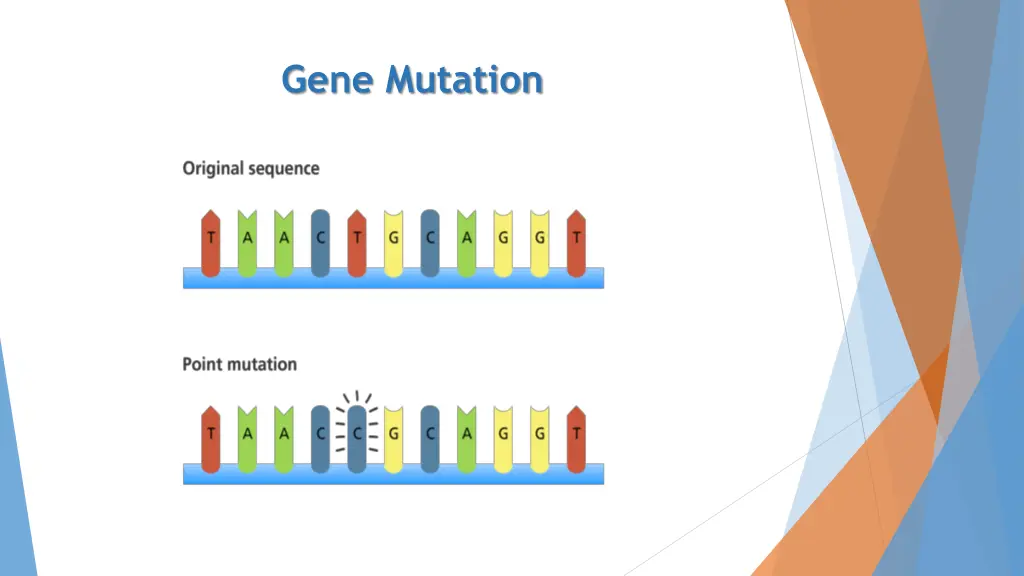 gene mutation 8