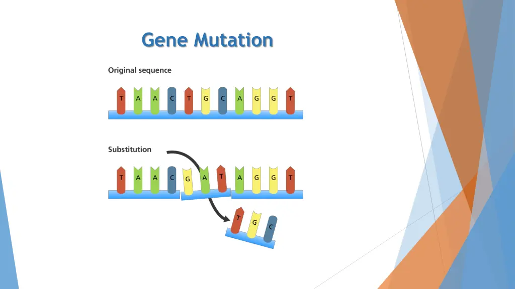 gene mutation 9