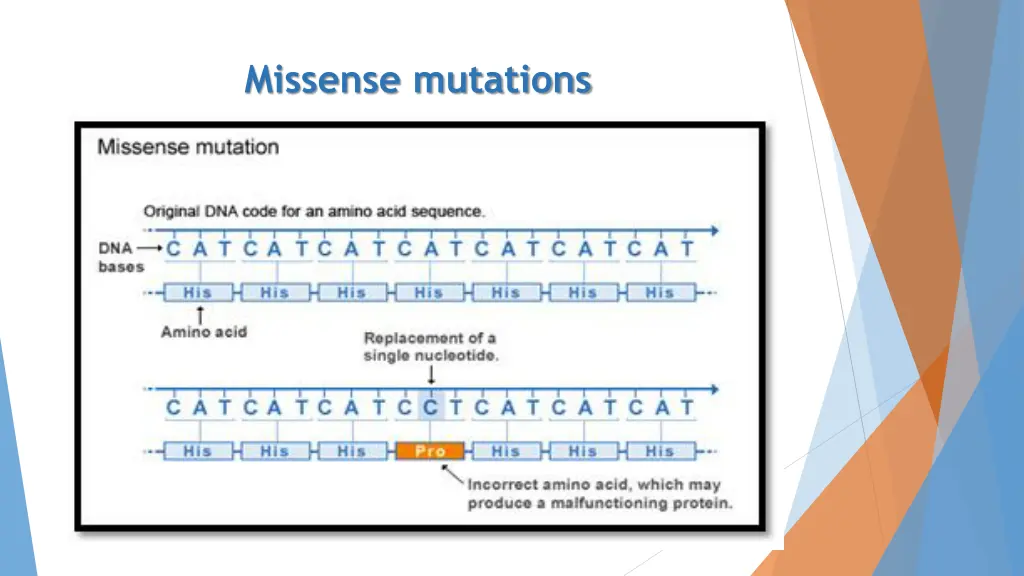 missense mutations 1