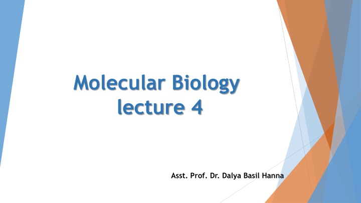 molecular biology lecture 4