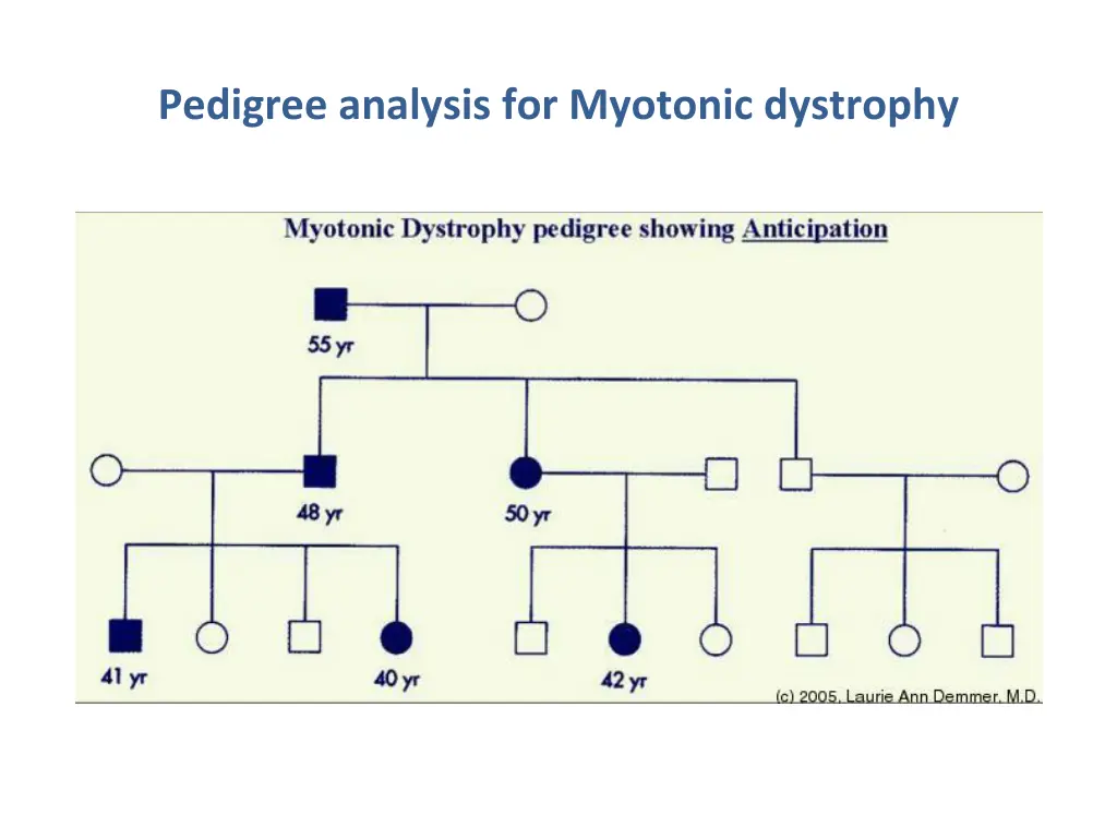 pedigree analysis for myotonic dystrophy