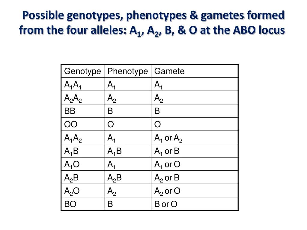 possible genotypes phenotypes gametes formed from