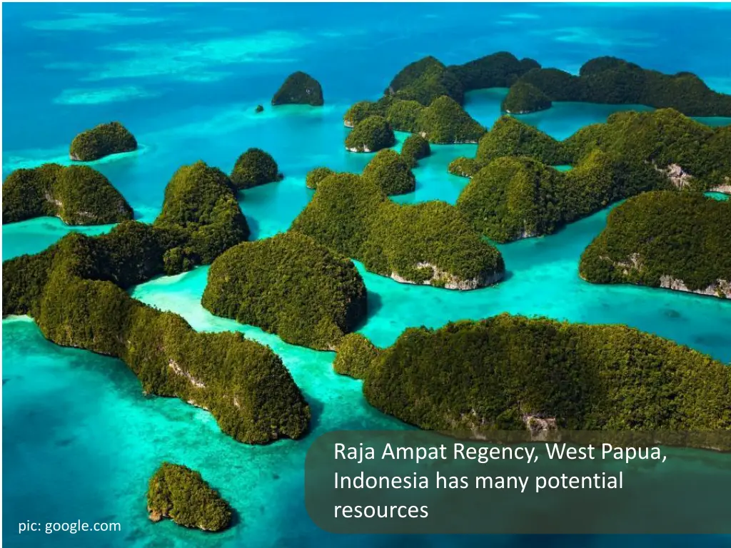 raja ampat regency west papua indonesia has many