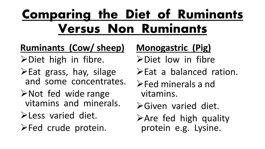 comparing the diet of ruminants versus