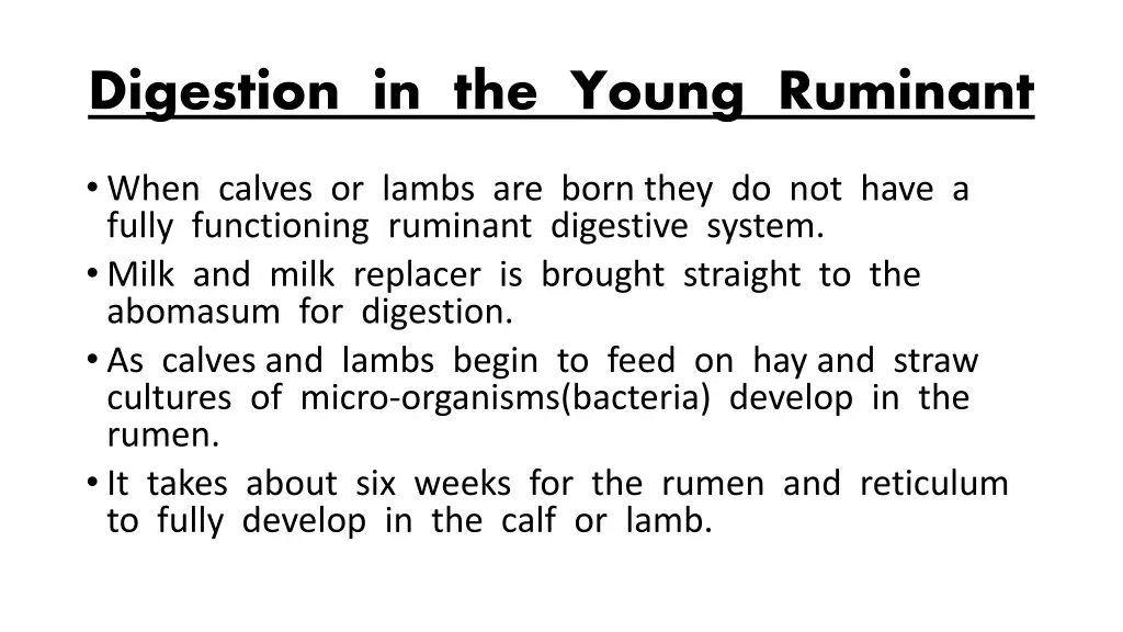 digestion in the young ruminant