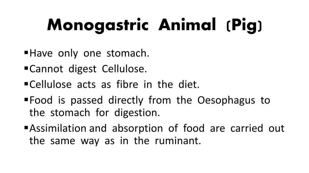 monogastric animal pig 1