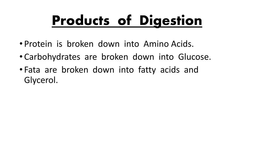 products of digestion