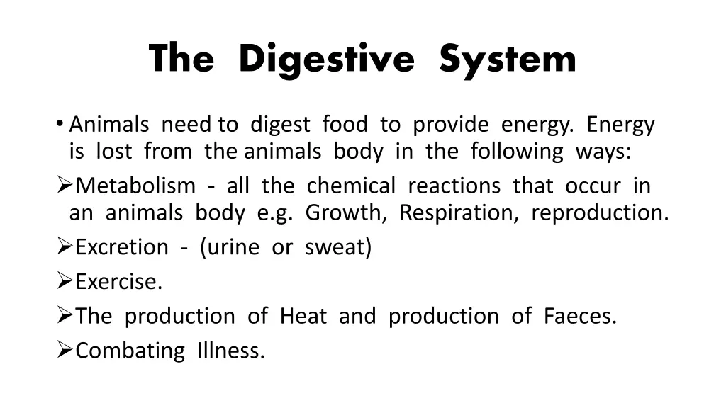 the digestive system 1