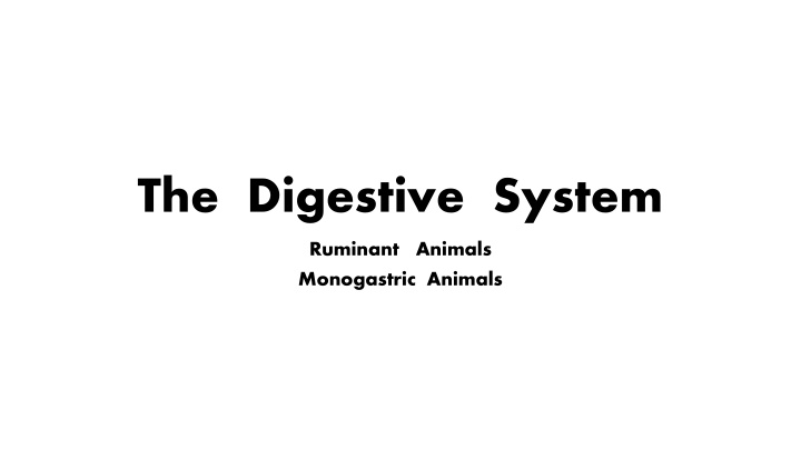 the digestive system