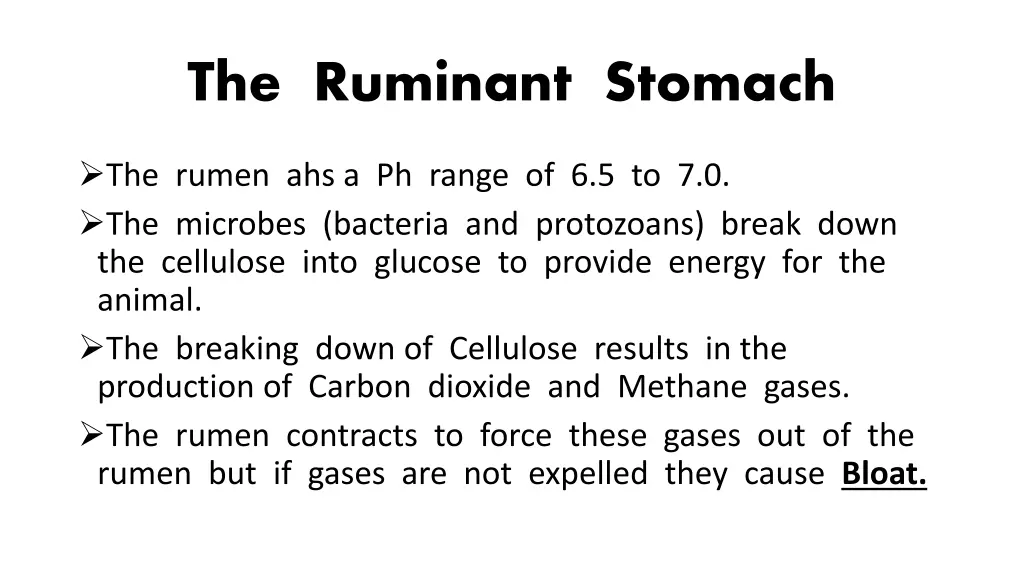 the ruminant stomach 1