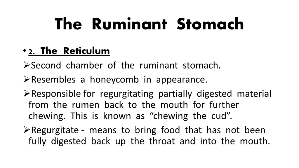 the ruminant stomach 2