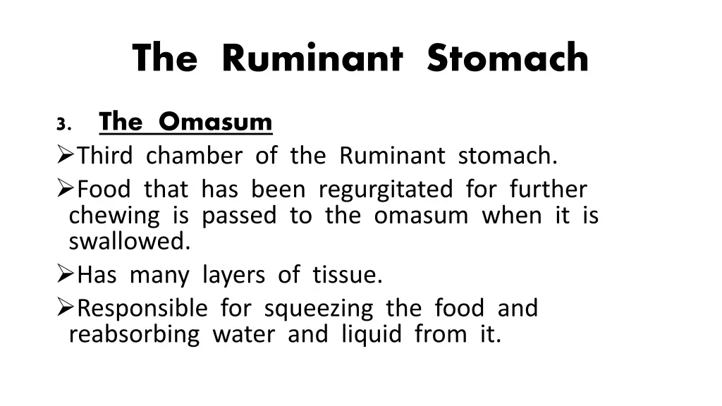 the ruminant stomach 3