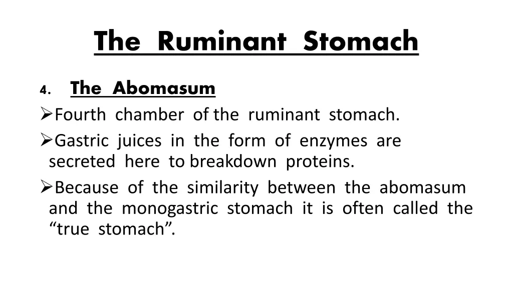 the ruminant stomach 4