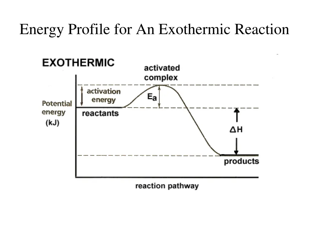 energy profile for an exothermic reaction