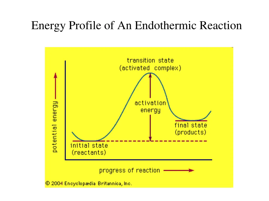 energy profile of an endothermic reaction