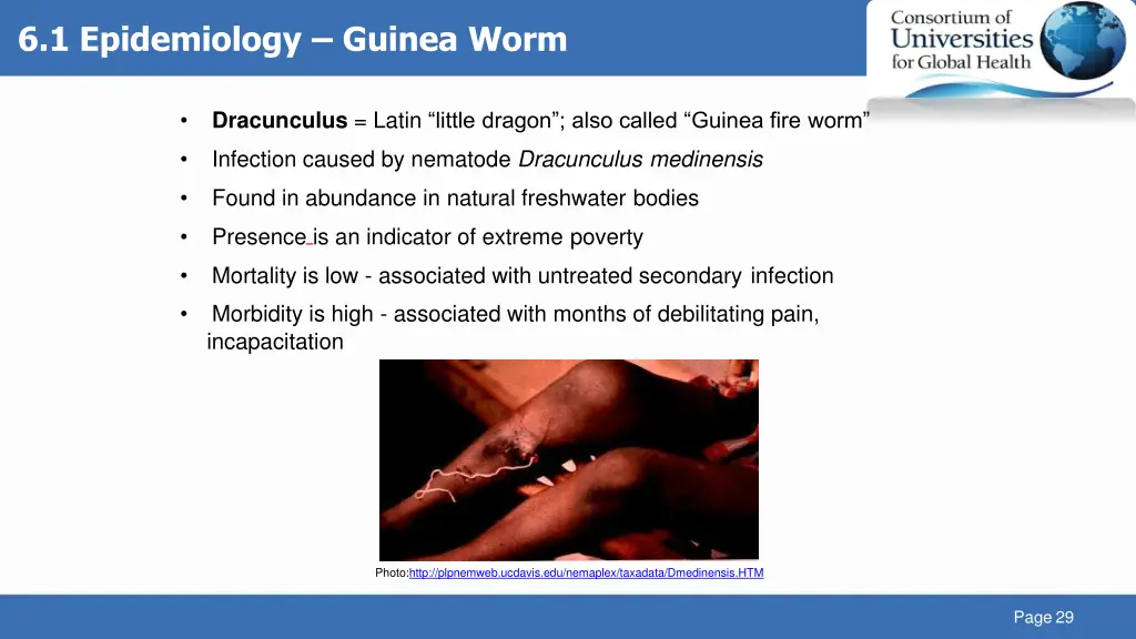 6 1 epidemiology guinea worm