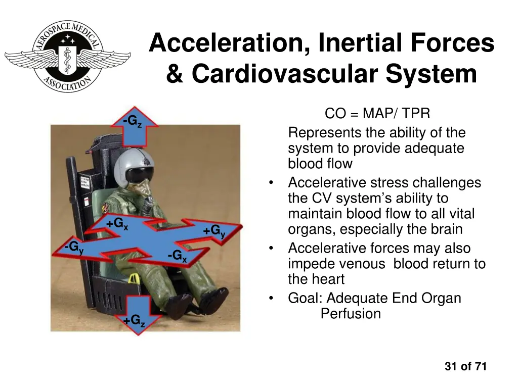 acceleration inertial forces cardiovascular system