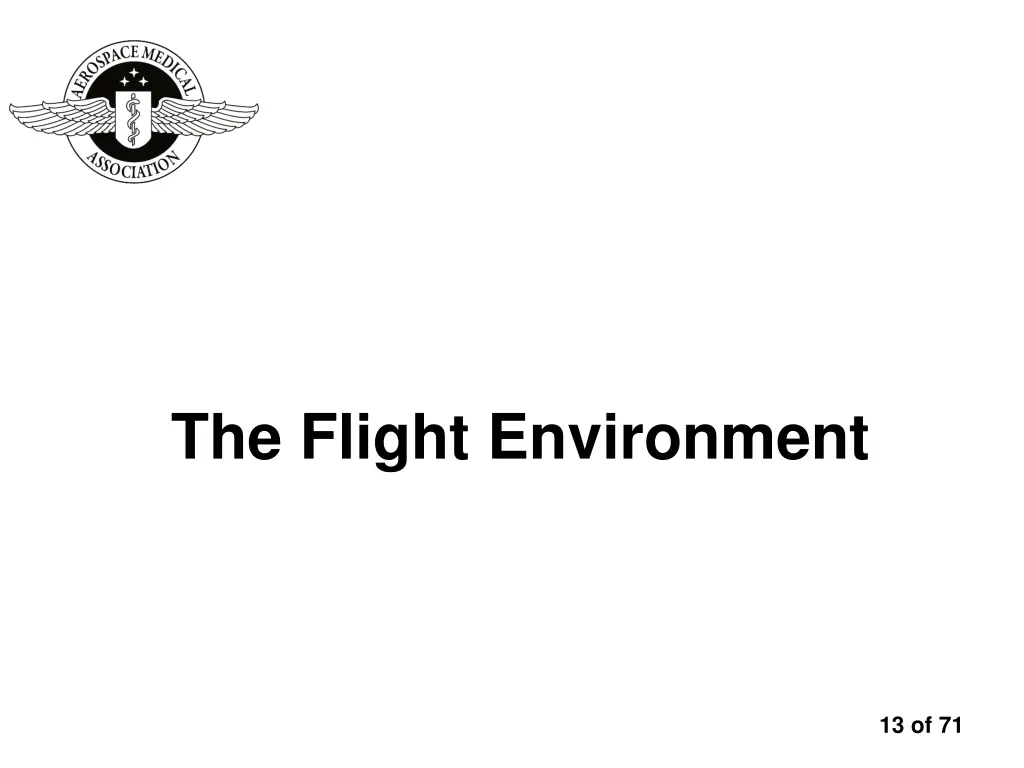 the flight environment