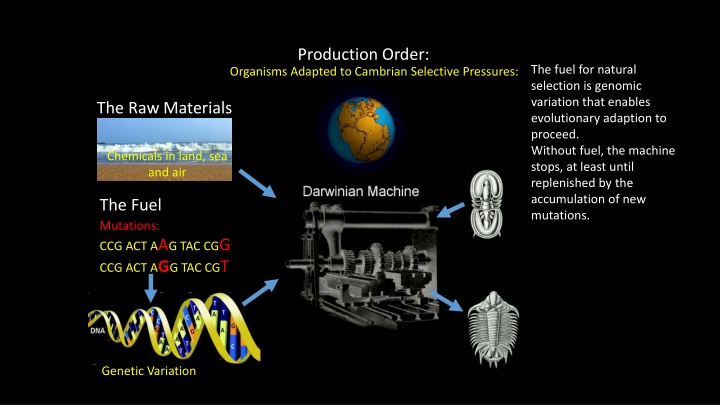 production order