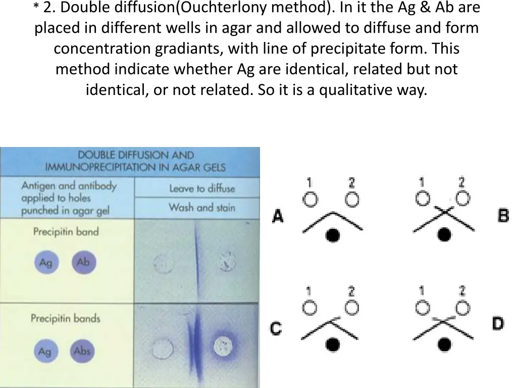 2 double diffusion ouchterlony method