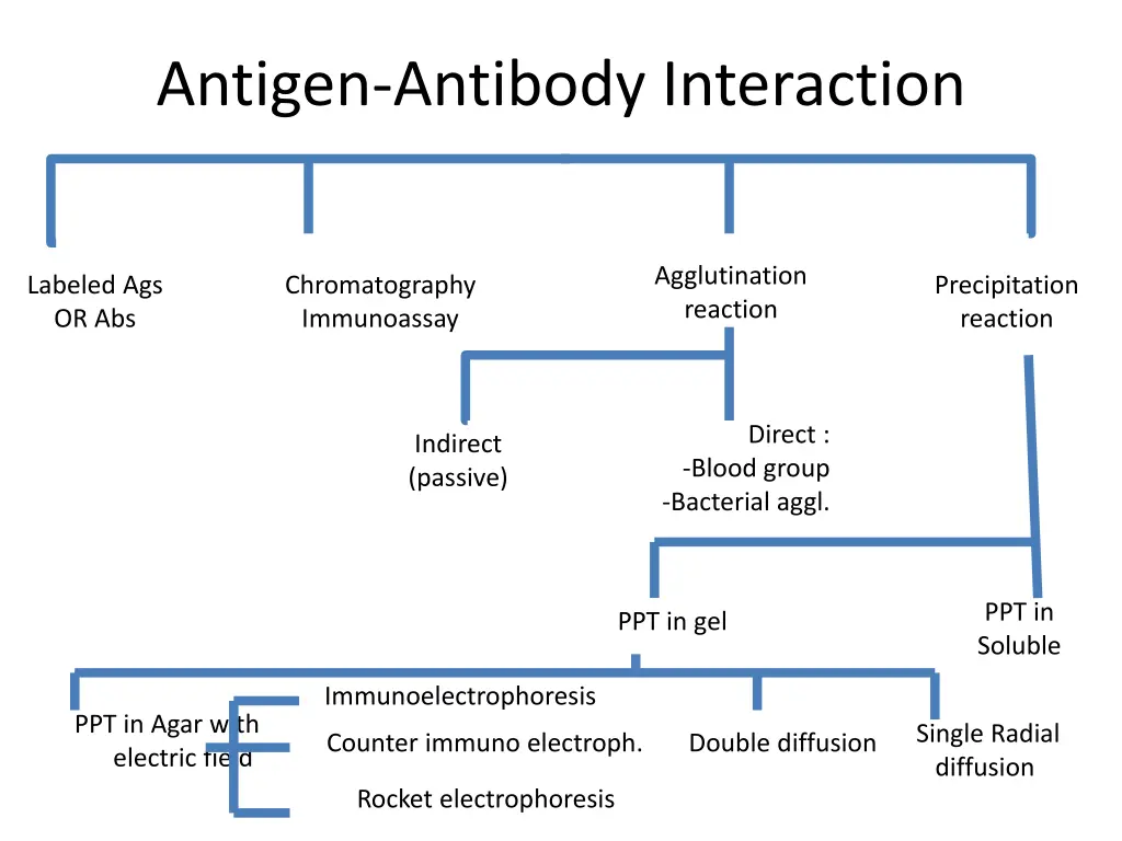 antigen antibody interaction