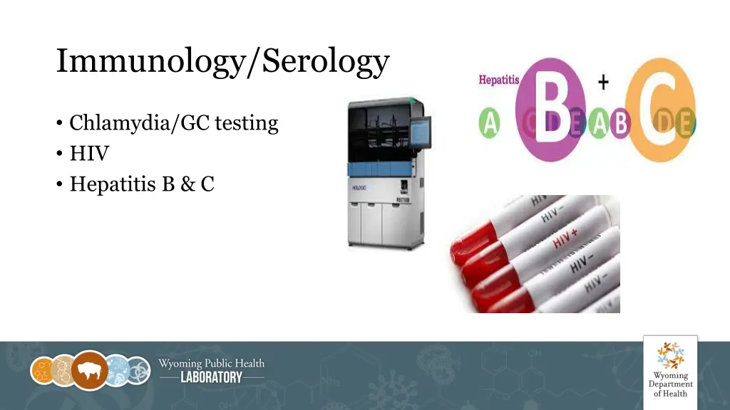 immunology serology