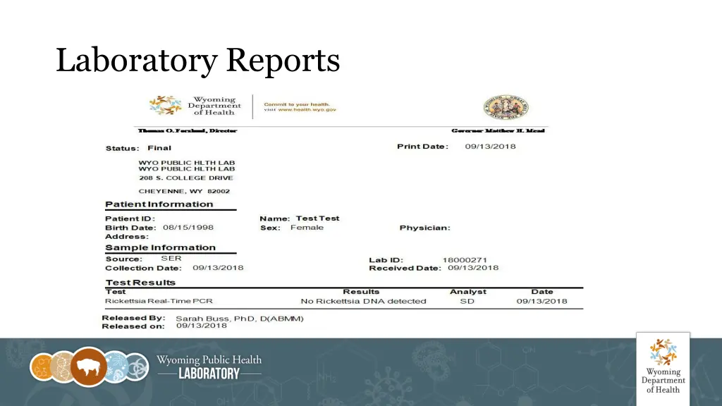 laboratory reports