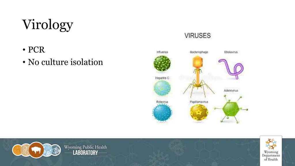 virology