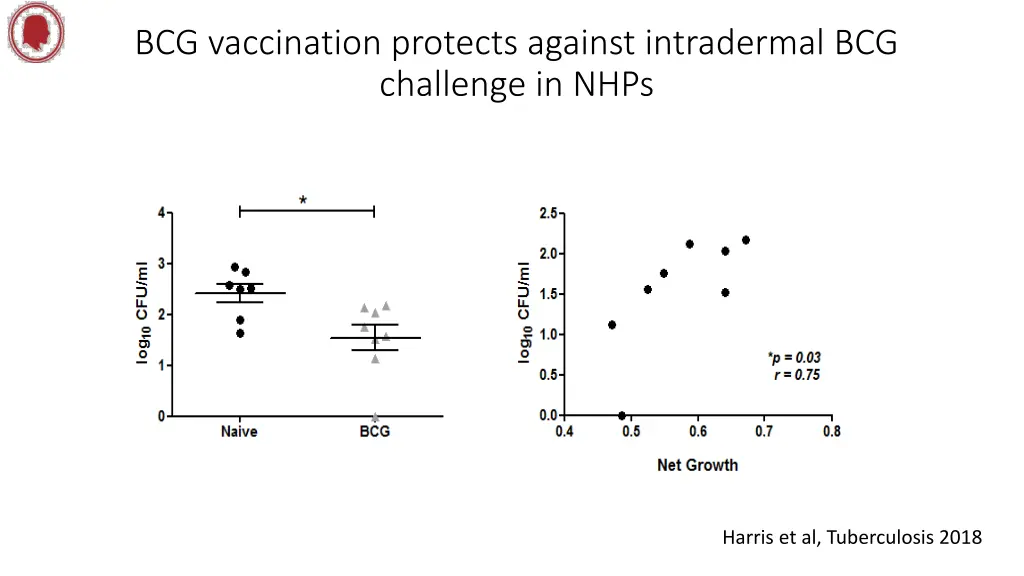 bcg vaccination protects against intradermal 1