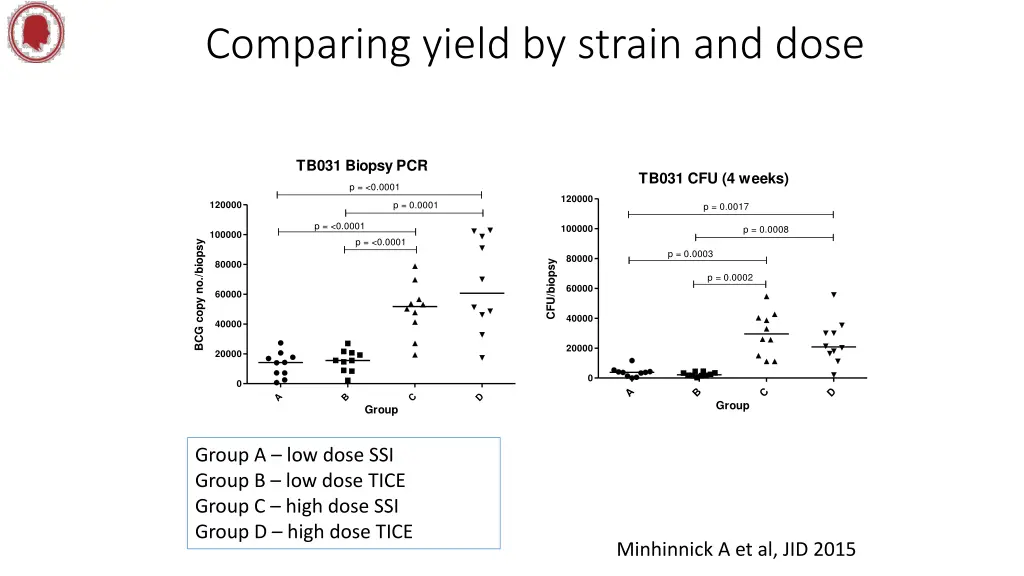 comparing yield by strain and dose