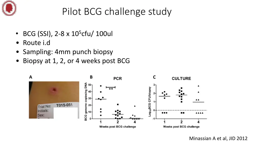 pilot bcg challenge study