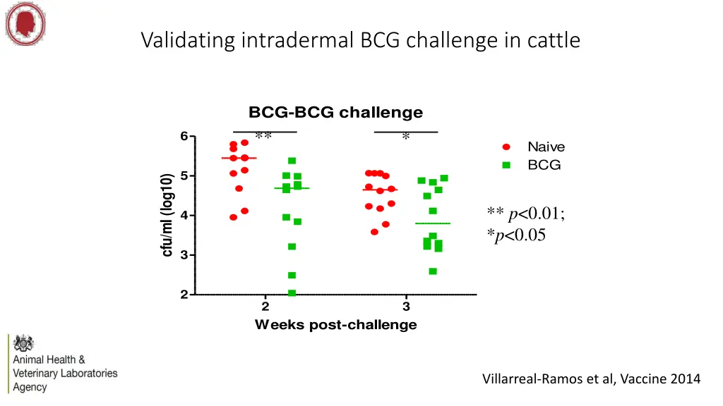 validating intradermal bcg challenge in cattle