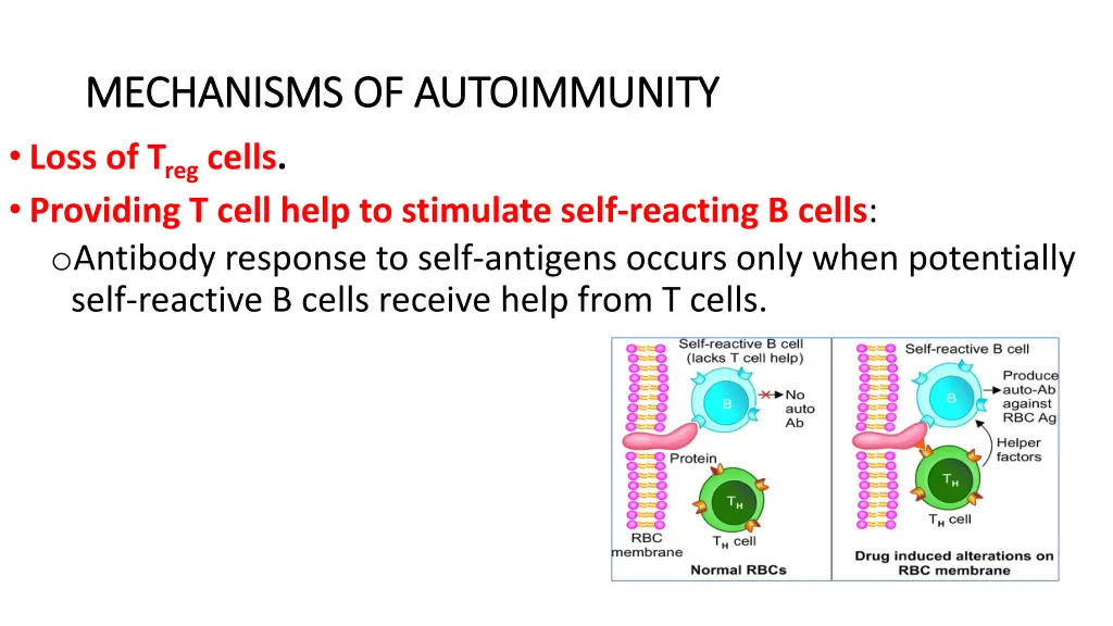 mechanisms of autoimmunity mechanisms 1